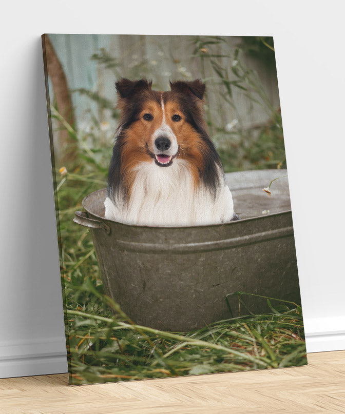 Bathtub - Unique Canvas Of Your Pet