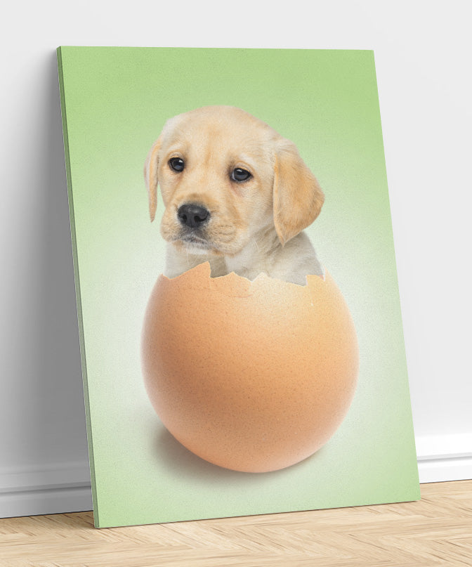 Egg - Unique Canvas Of Your Pet